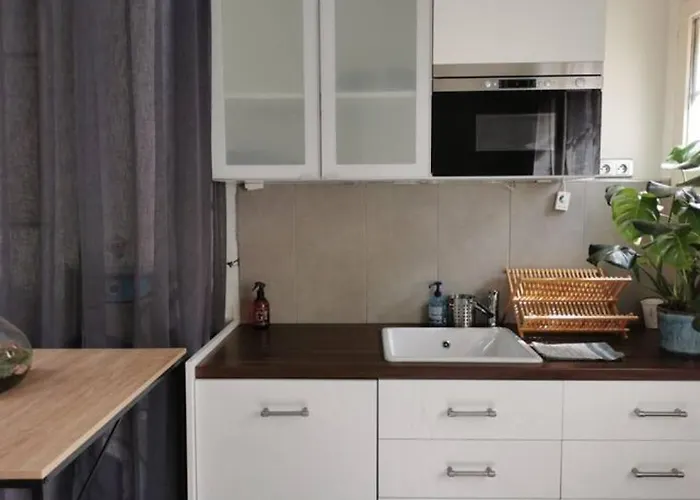 Les Bords De Seine *